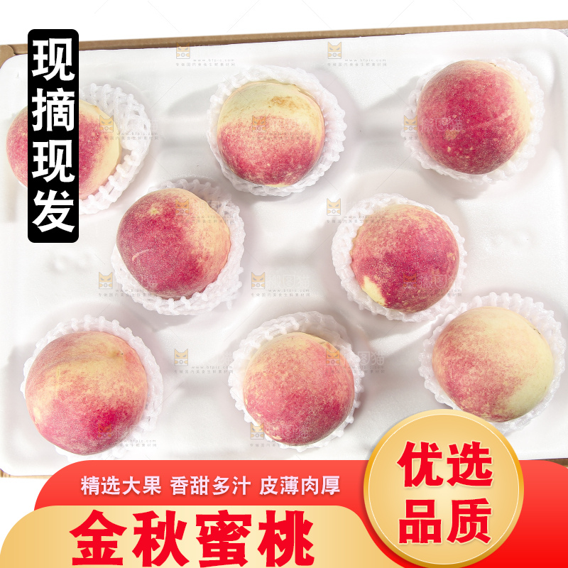 白底上的金秋红蜜桃