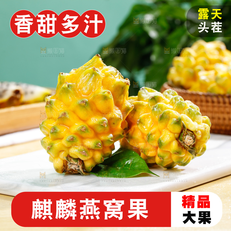 浅底上的燕窝果