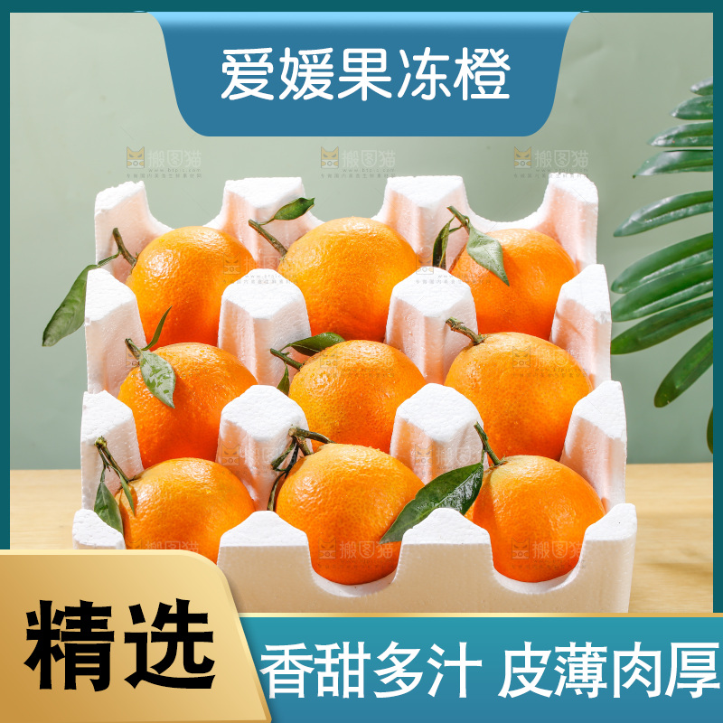 浅底上的爱媛果冻橙
