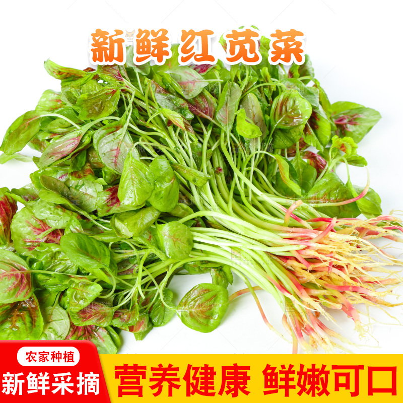 白底上的农家苋菜