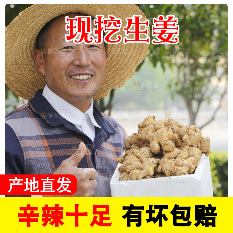 手里拿着新鲜生姜