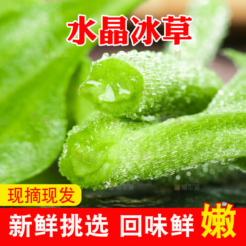 深底上的冰草