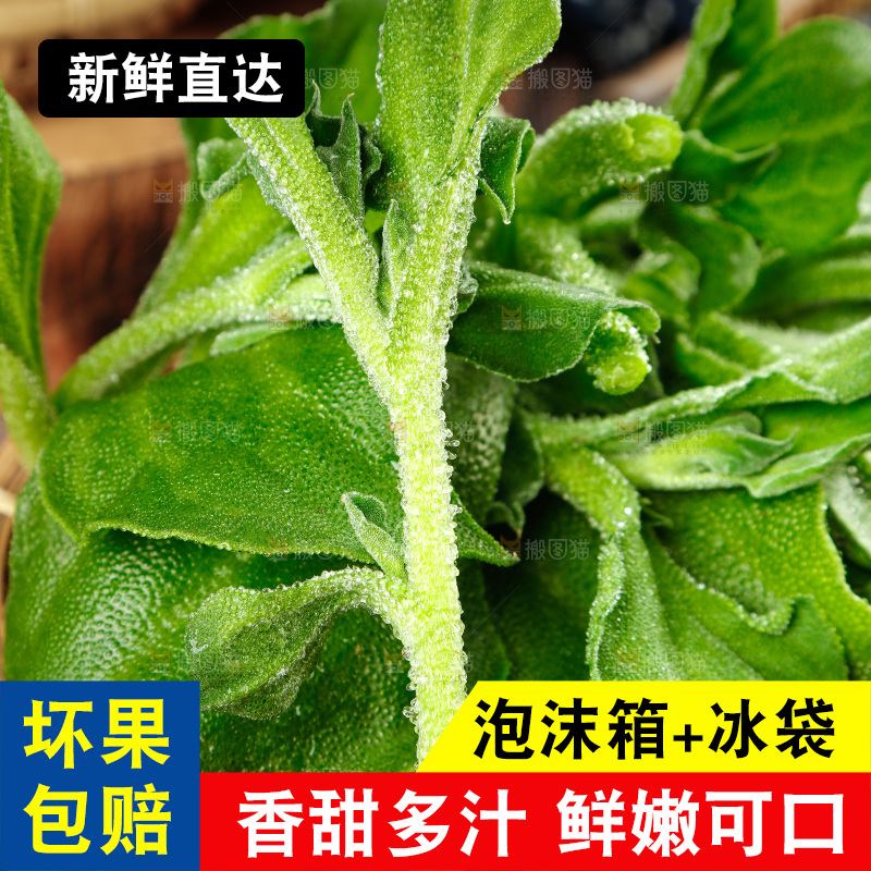 深底上的冰草