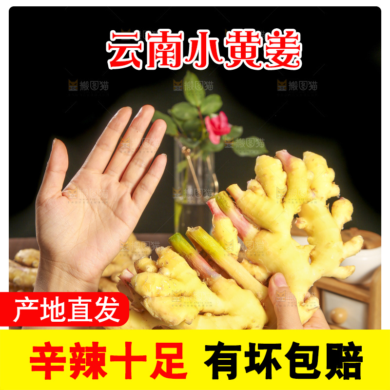 深底上的小黄姜