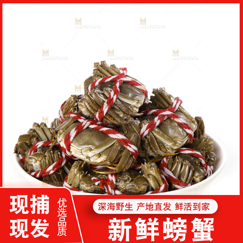 白底上的大闸蟹