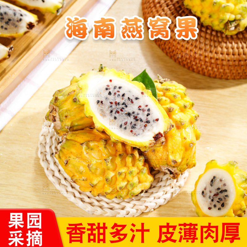 浅底上的燕窝果