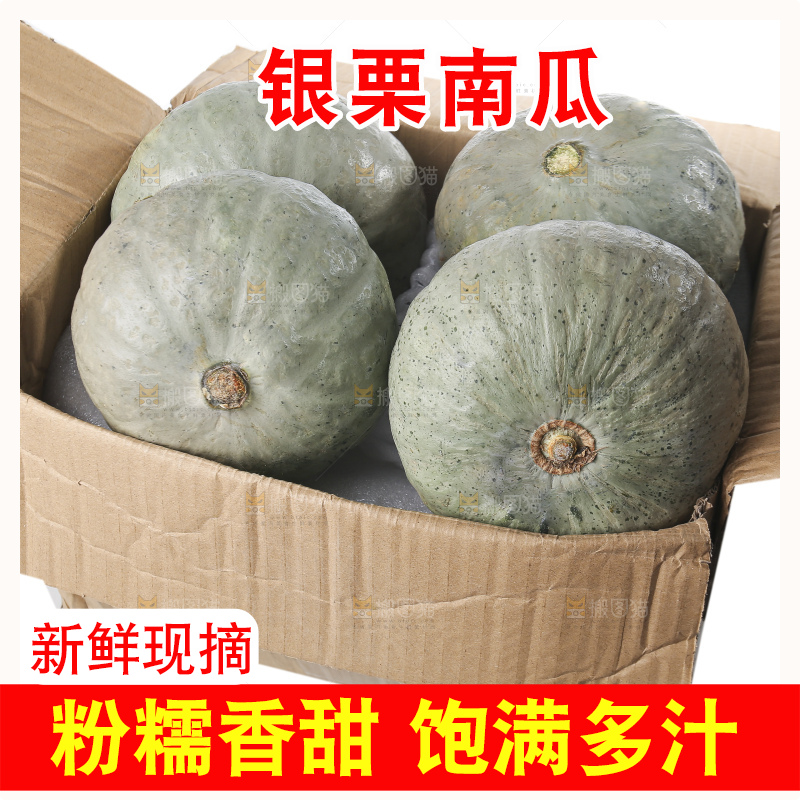 白底上的银栗南瓜