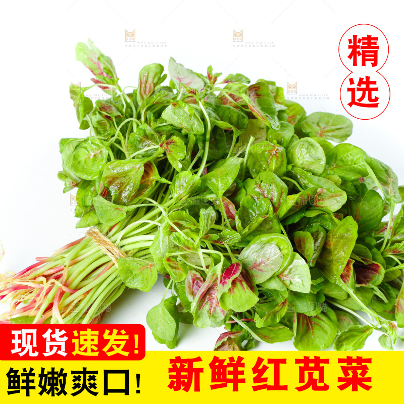 白底上的农家苋菜