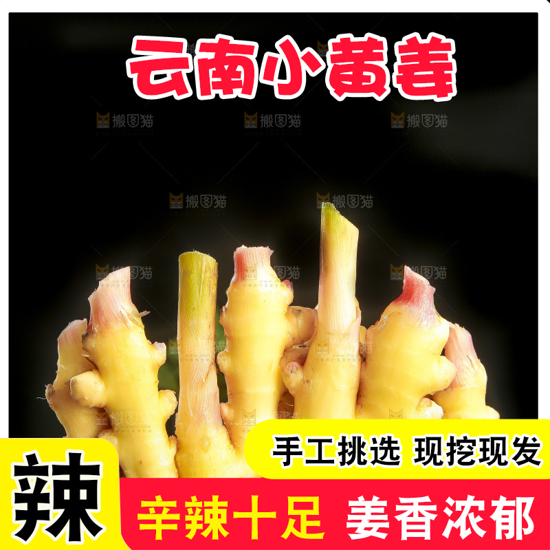深底上的小黄姜