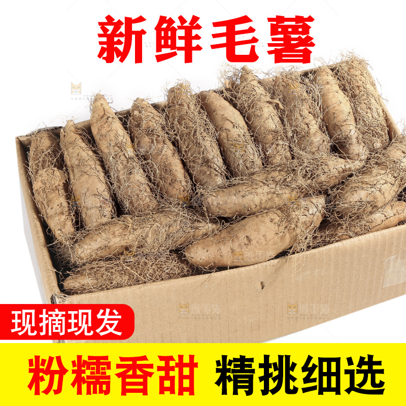 白底上的新鲜毛薯