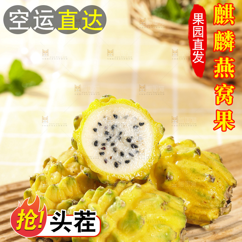 浅底上的燕窝果