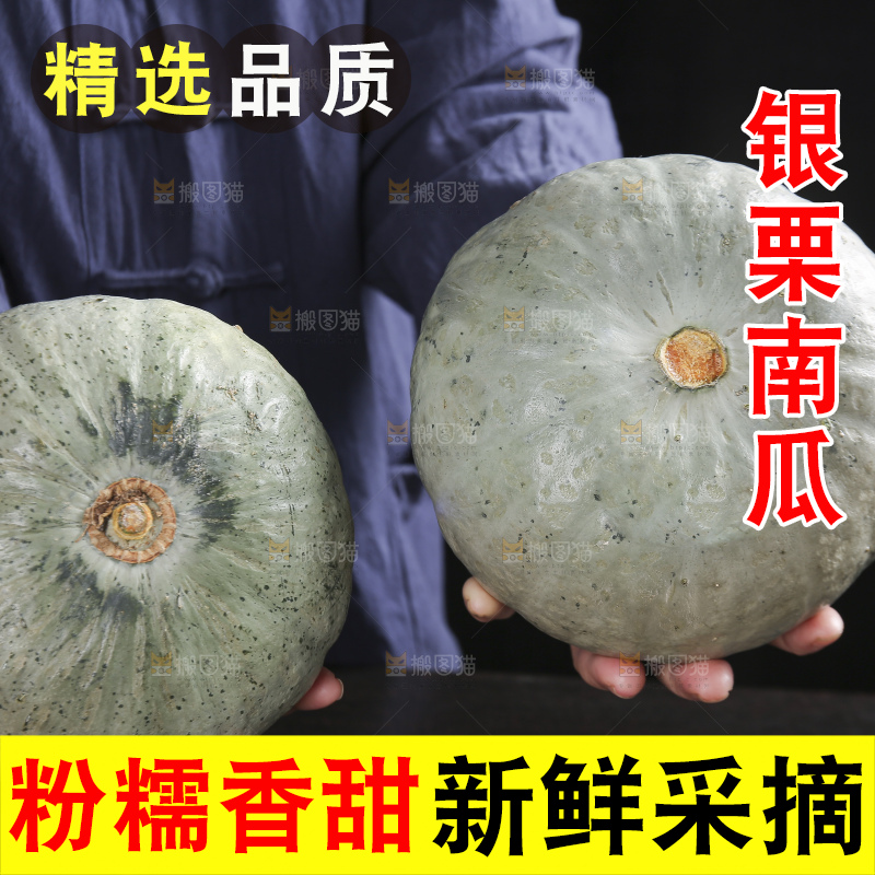 深底上的银栗南瓜