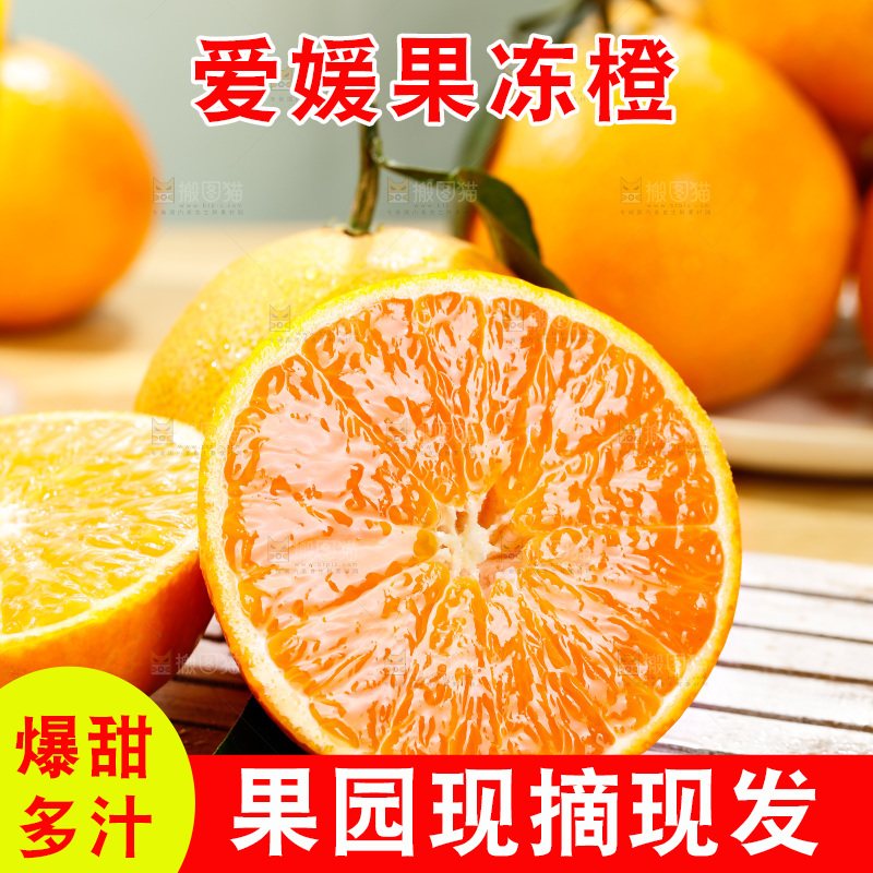 浅底上的爱媛果冻橙