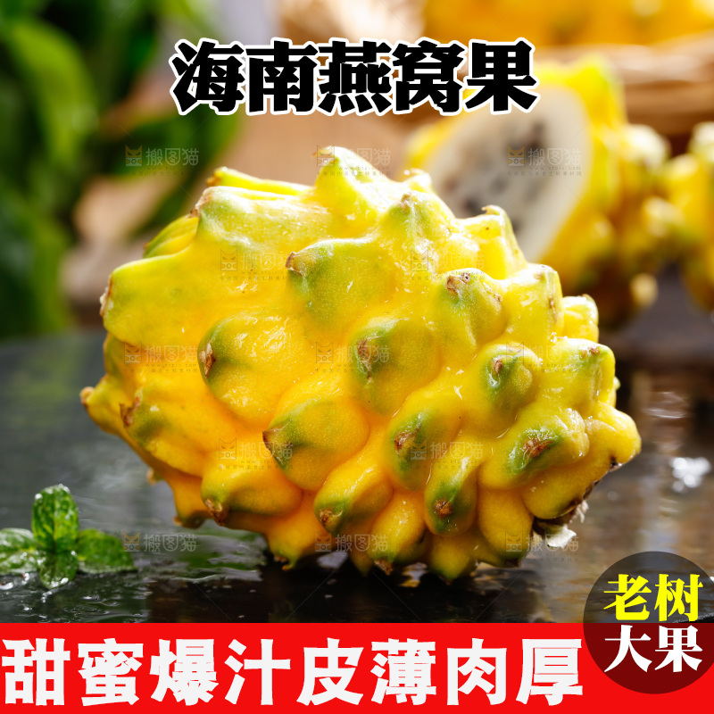 深底上的燕窝果
