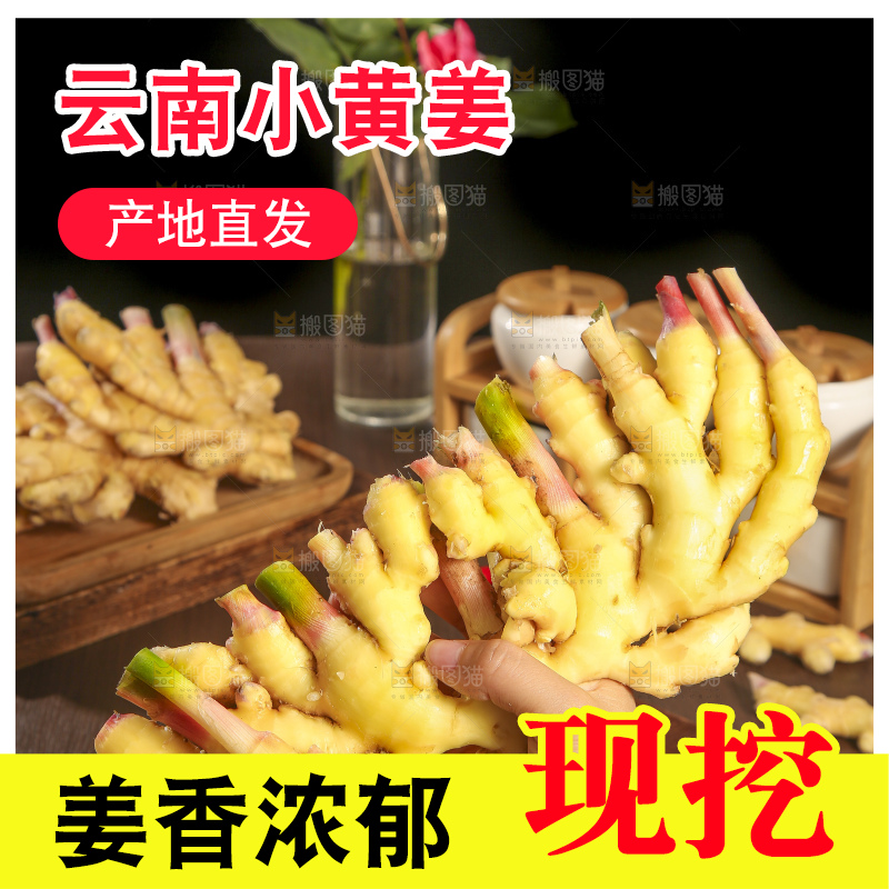 深底上的小黄姜
