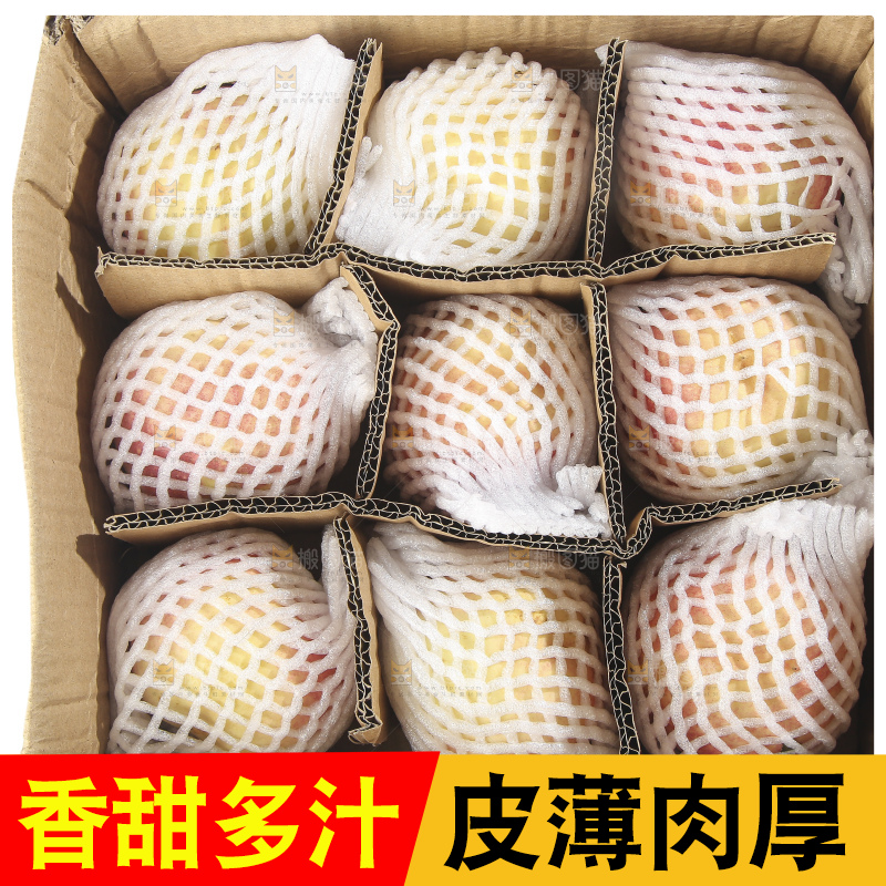白底上的金秋红蜜桃