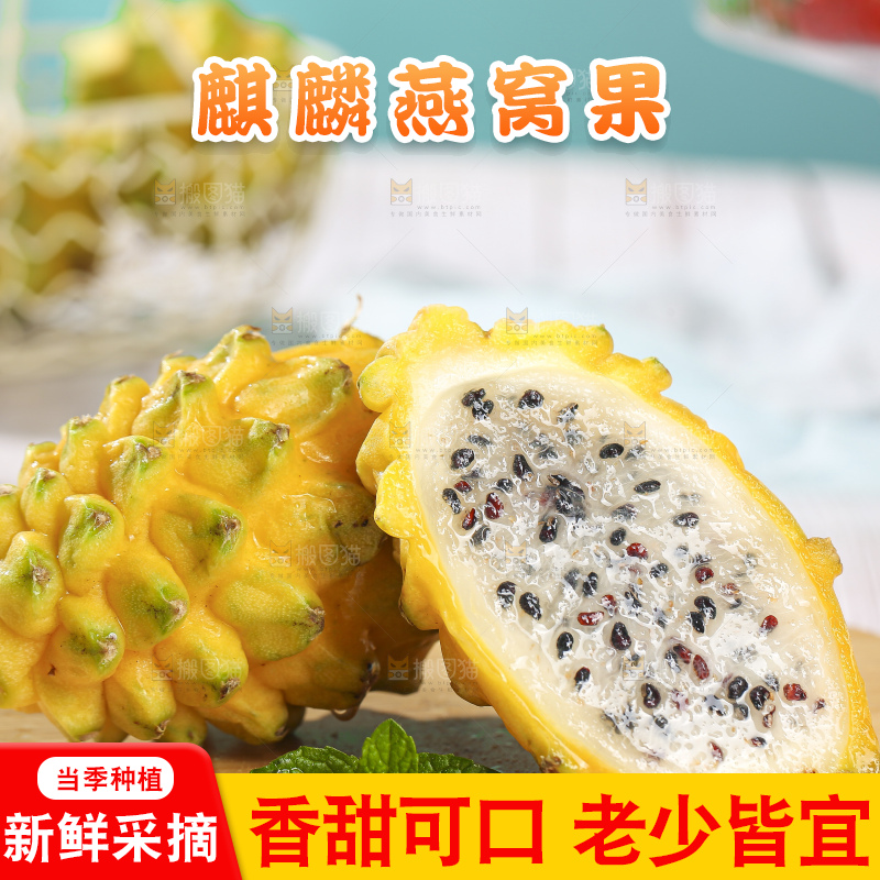 浅底上的燕窝果
