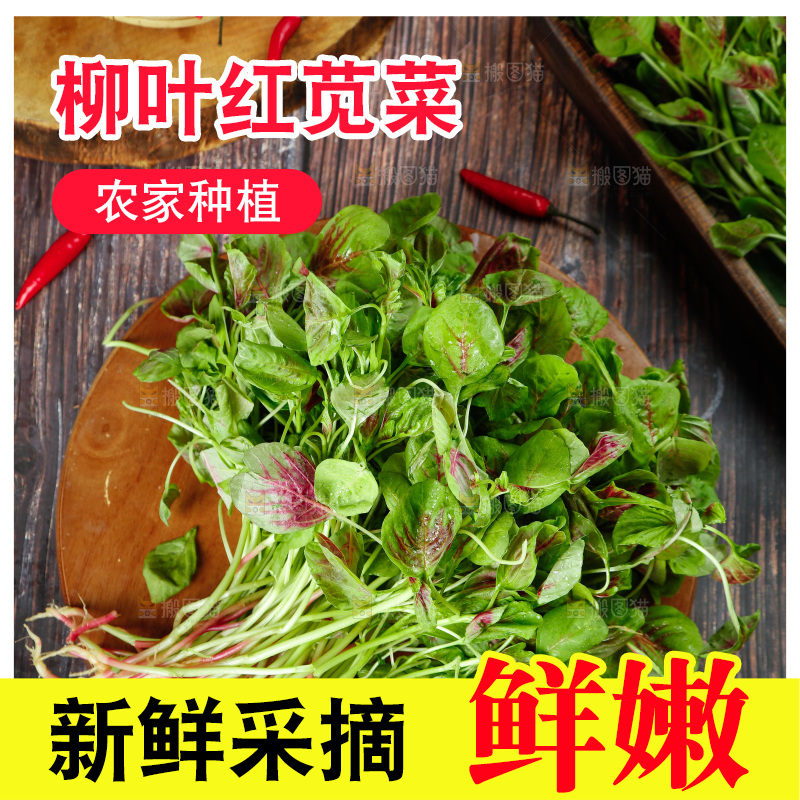 深底上的新鲜苋菜