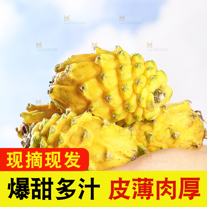浅底上的燕窝果