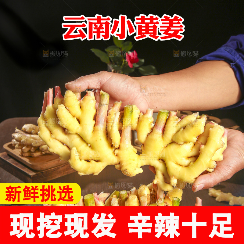 深底上的小黄姜