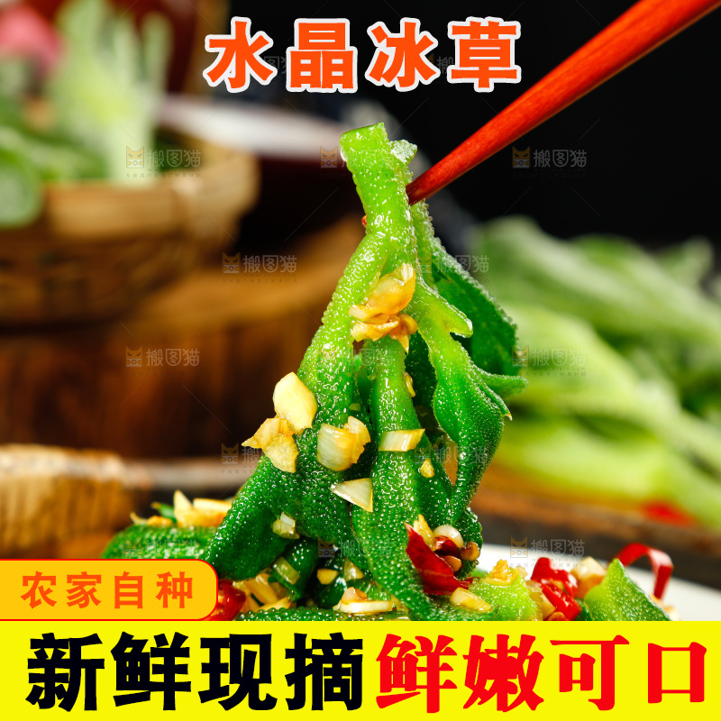 深底上的冰草
