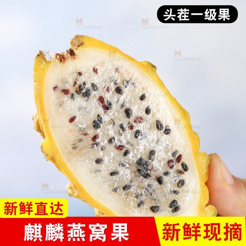 浅底上的燕窝果