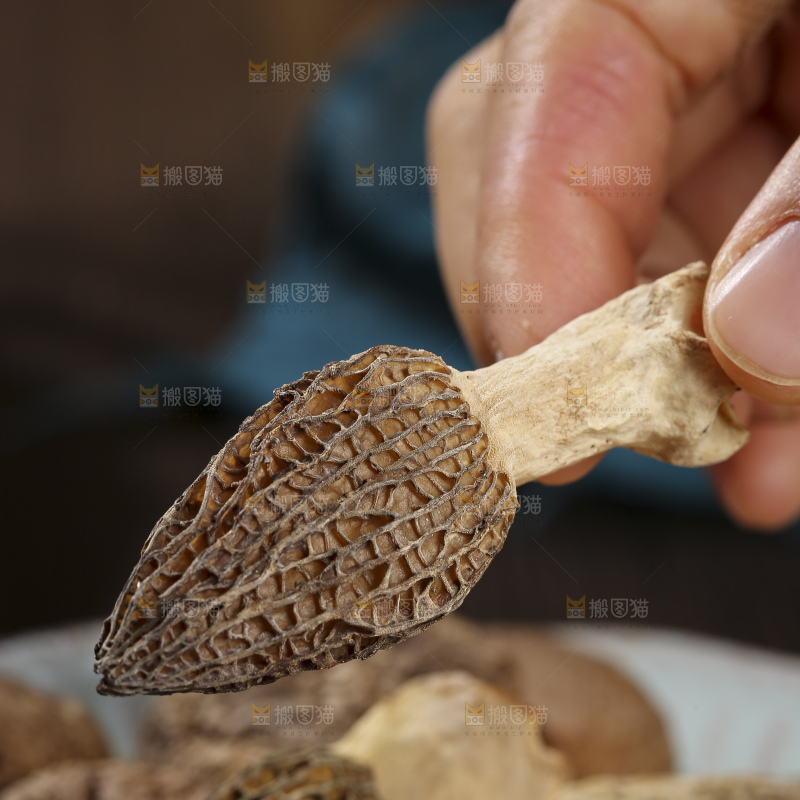 木底上的菌菇汤
