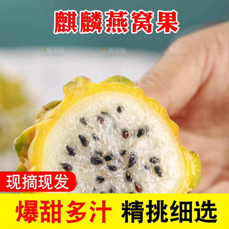 浅底上的燕窝果