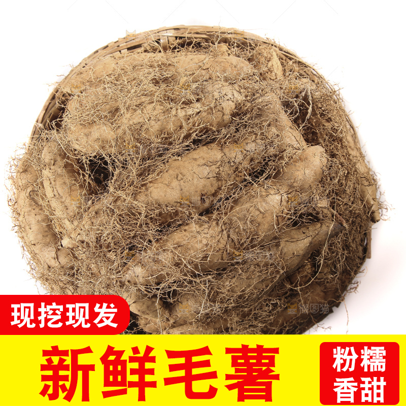 白底上的新鲜毛薯