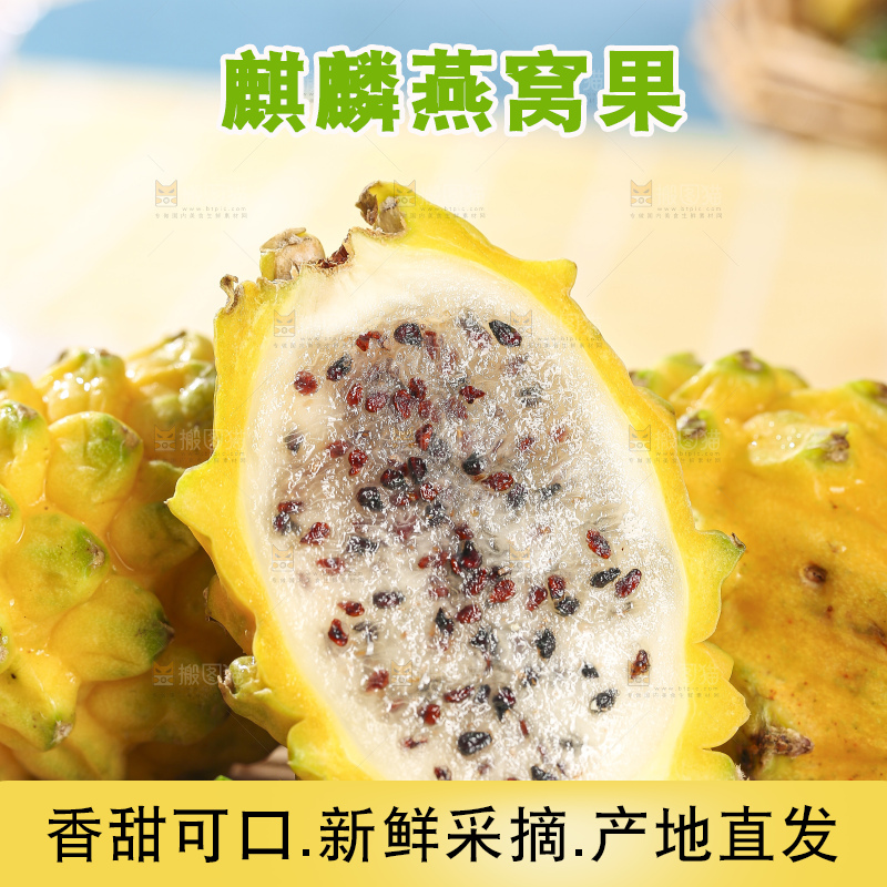 浅底上的燕窝果