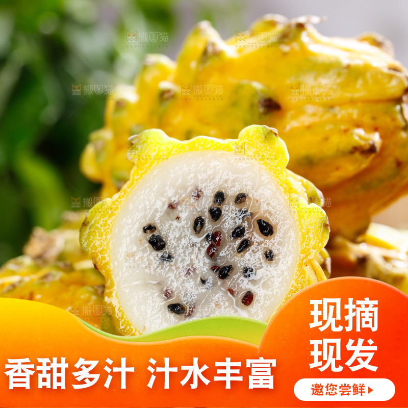 深底上的燕窝果