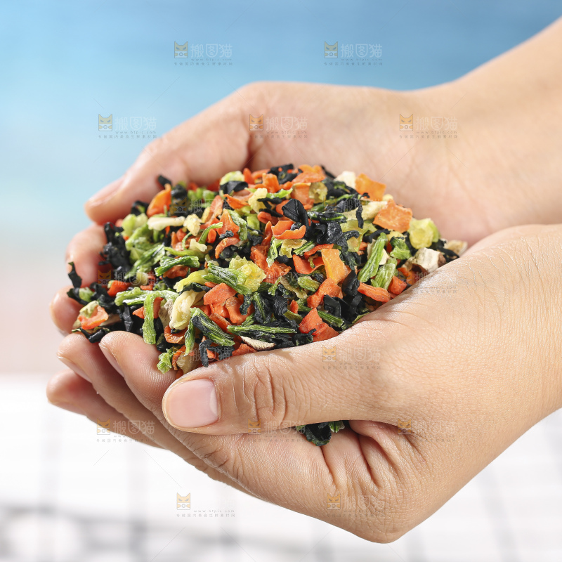 浅底上的脱水蔬菜