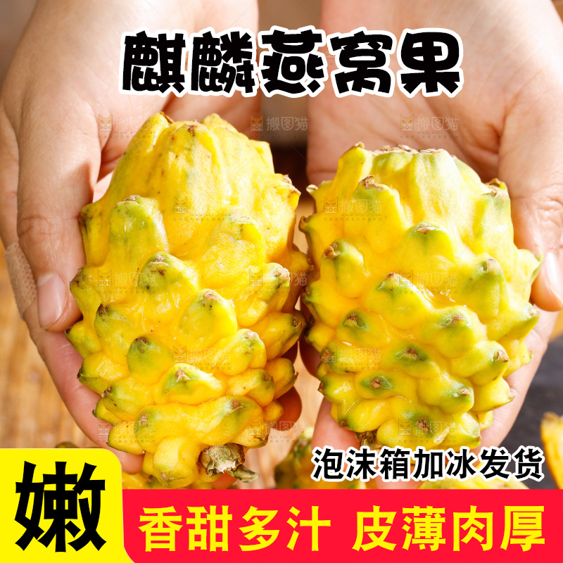 深底上的燕窝果