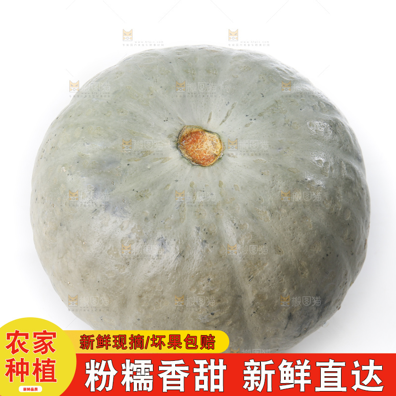 白底上的银栗南瓜