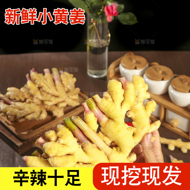 深底上的小黄姜
