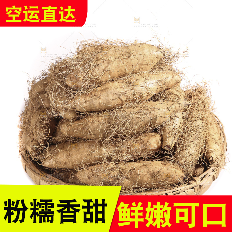 白底上的新鲜毛薯
