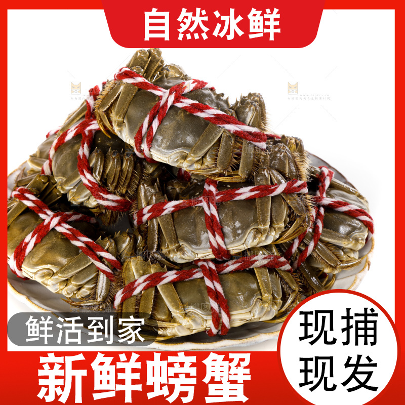 白底上的大闸蟹