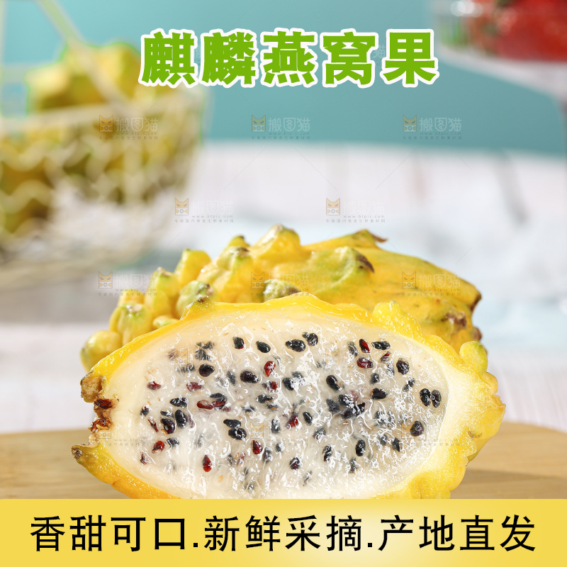 浅底上的燕窝果