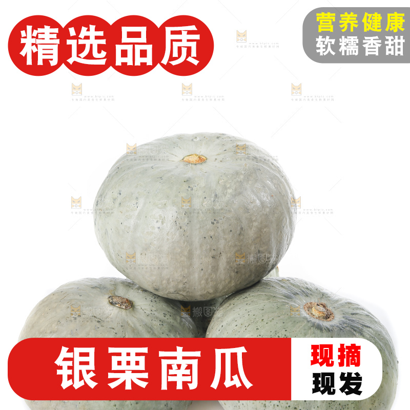 白底上的银栗南瓜