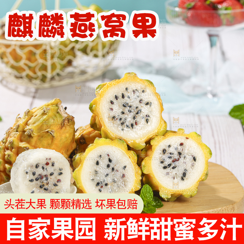 浅底上的燕窝果