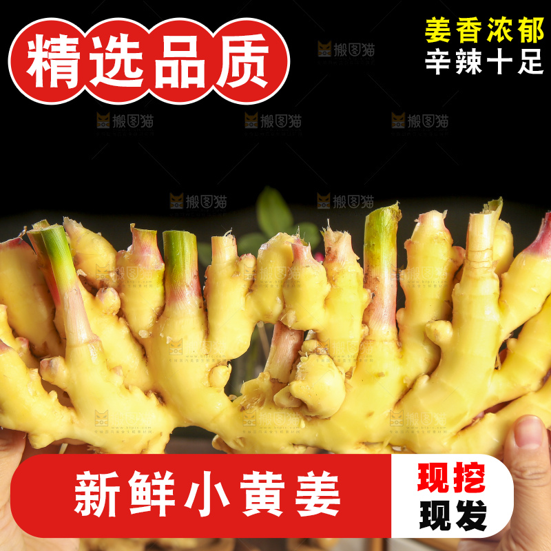 深底上的小黄姜