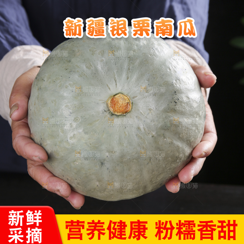 深底上的银栗南瓜