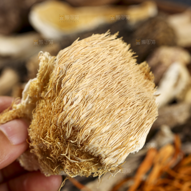 木底上的菌菇汤