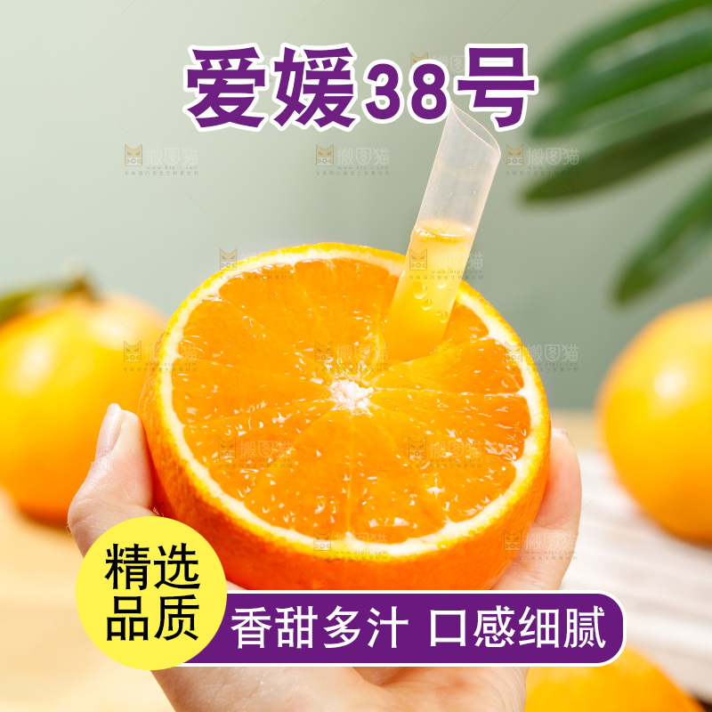 浅底上的爱媛果冻橙