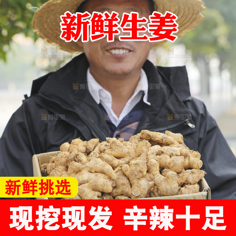 手里拿着新鲜生姜