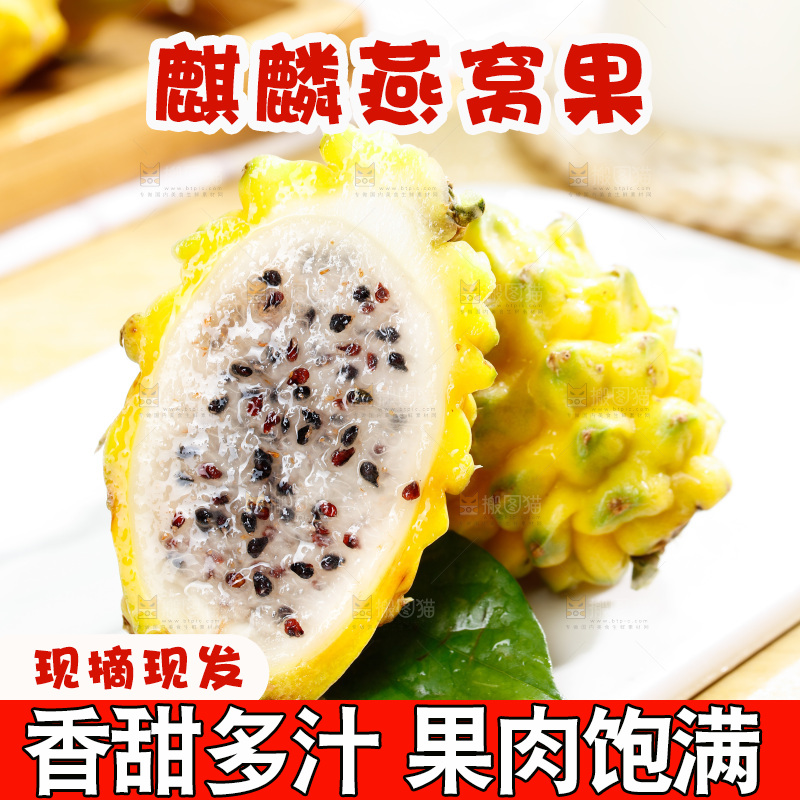 浅底上的燕窝果