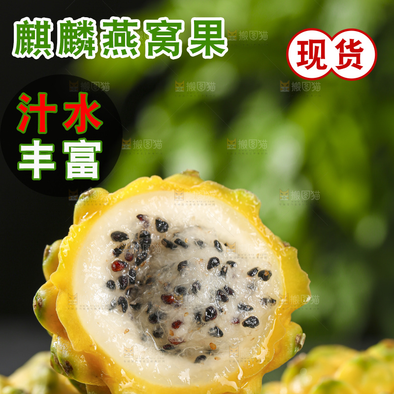 深底上的燕窝果