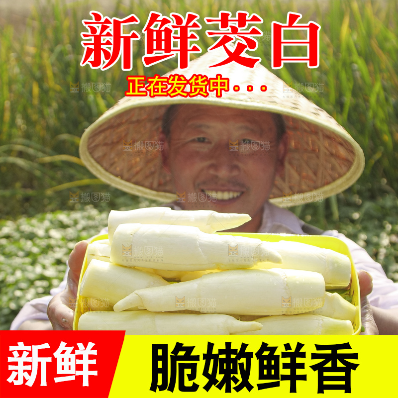 手里拿着新鲜茭白