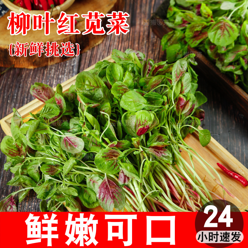 深底上的新鲜苋菜