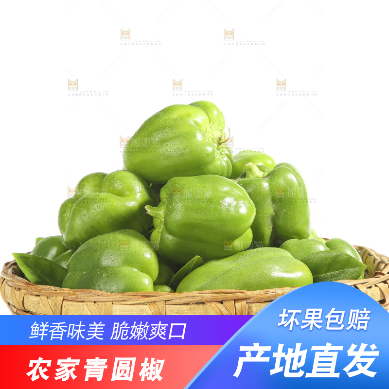 白底上的青圆椒